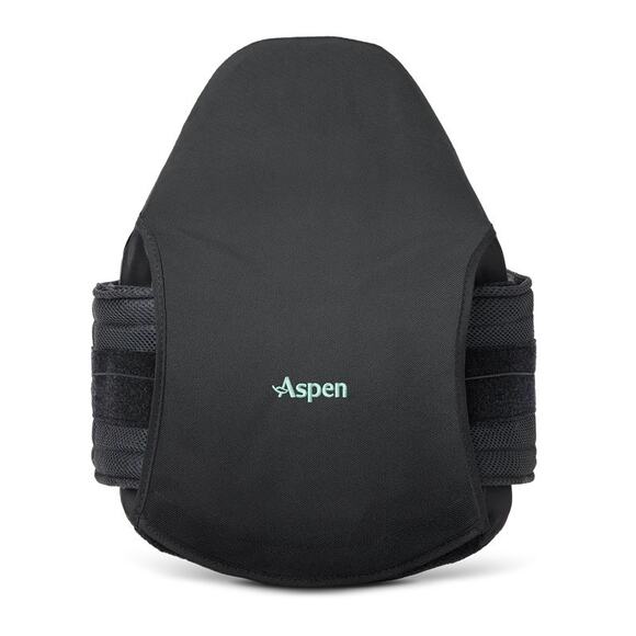 Aspen Horizon 637 LSO Back Brace Lower Spine - Picture 1 of 8